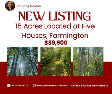 15 Acres In Farmington for $39,900! Image# 1