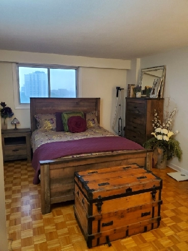 Beautiful 1-Bedroom Apartment Available Downtown for Sublet Image# 1