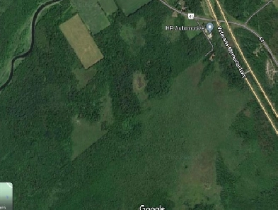 20 Acre Hunting / Recreational Property Image# 1