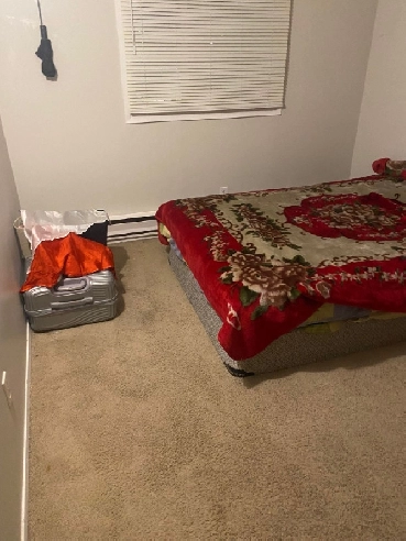 Room up for Rent (Female roommate needed) Image# 1