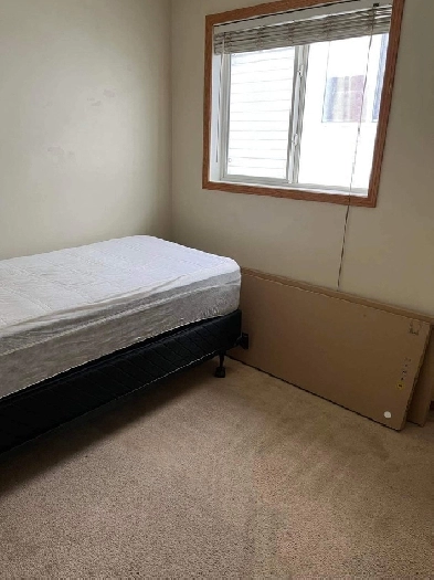 Small room for rent in Main level. No smoking,vape and drinking Image# 1