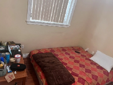 1br available for sharing in 2br basement Image# 1