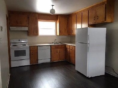 2 Rooms for rent - Close to Dal, SMU, Grocery stores & bus stops Image# 2