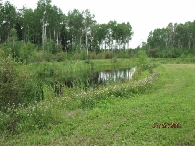 Multiple Parcels of Land For Sale - Financing Available Image# 1