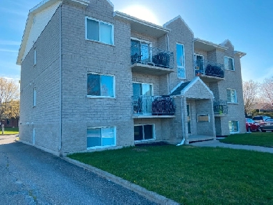 Logement 4 et demi à louer St-Dominique Image# 1