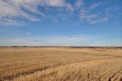 /- 51.83 Acres Of Land For Sale, Within Calgary City Limits Image# 1
