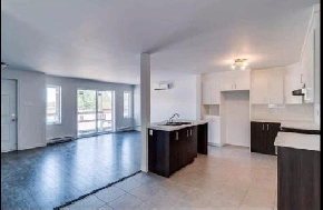 Appartement 5 ½ | 3 chambres/bedroom | Plateau | Rue Katimavik Image# 1