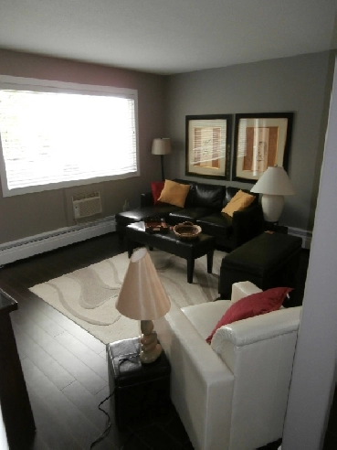 central downtown fully furnished and equipped 1 bdrm apartment Image# 3
