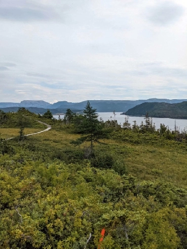 2.4 Acre Lot For Sale - 141 Main Road, Woody Point, NL Image# 1