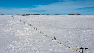 Land For Sale Southey Saskatchewan Image# 1