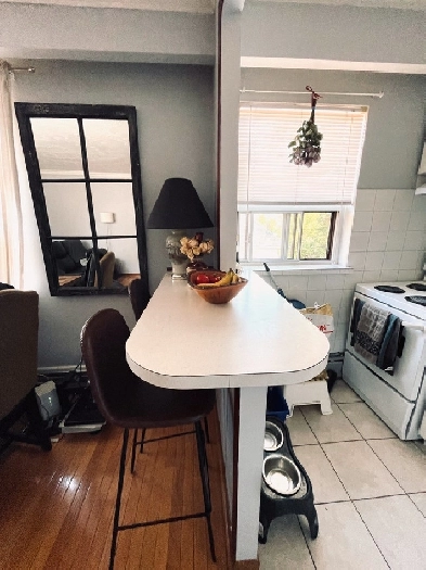 ►►► 1BR Appartment by the lake-Avail. April 1 ►►►