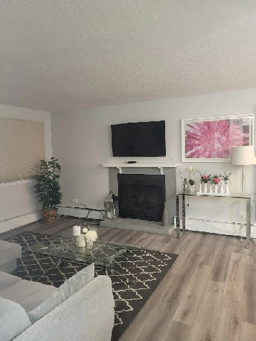 2 Bed 1 Bath Downtown Condo - Eau Claire