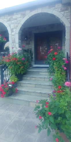 2Br Basement Apt. ready to rent on Islington & Albion