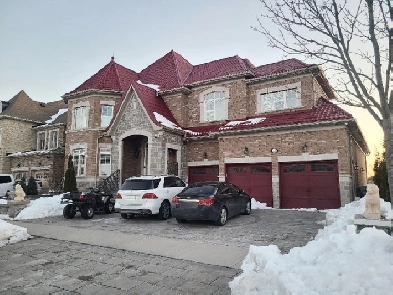 2 Bedroom Walkout Basement Apartment For Rent