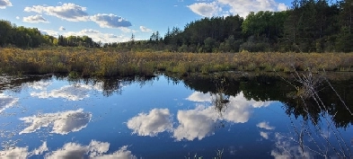31 AC Waterfront building lot Image# 6