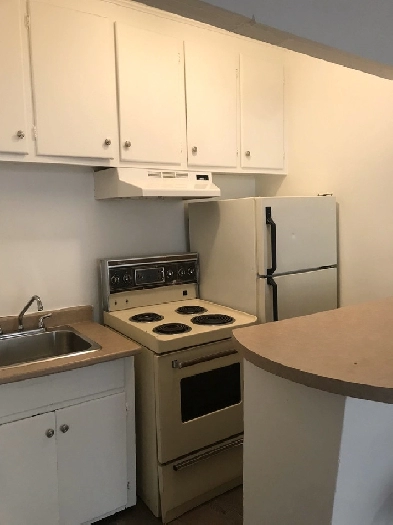 Beaux grands 1 1/2 WIFI rue Richelieu juillet