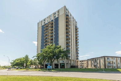 1 Bedroom   Den Basement Premium - 8830 85 St. NW Renovated Sui