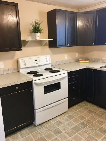 1 Bed/1 Bathroom Basement Suite Near Downtown