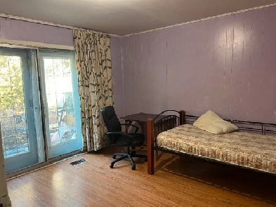 10min Bus 2 Finch Stn/Seneca,3 room-1st floor, Utility/WiFi free