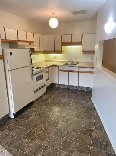 1 bedroom 1 bathroom rental near Melville, SK Image# 1