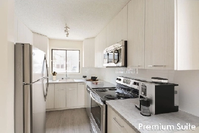 1 Bedroom Premium - 1060 Dorothy St.  Renovated Suite Image# 1