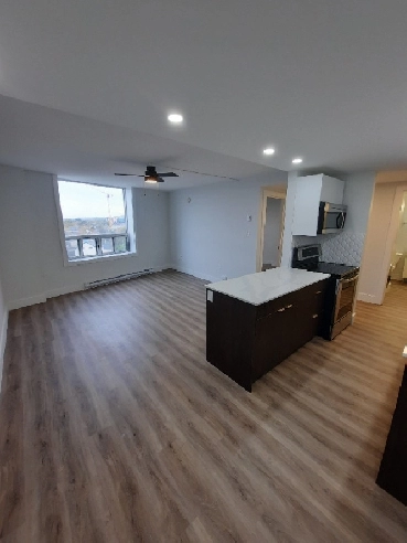 Modern 1 Bed 1 Bath 1495 June 3644 Dutch Village Rd Image# 4