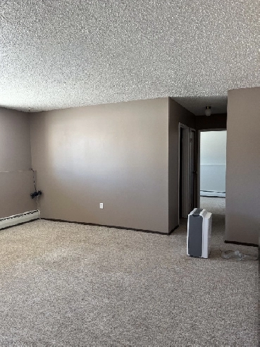 Rare 2 Bedroom Apartment Available for Rent in Rocanville SK Image# 1