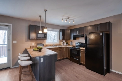 Beautiful 3 Bedroom 2 Bathroom Townhouse in Lorette Image# 3