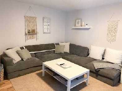 Student Bedroom for Rent near Carleton U & Algonquin Image# 8