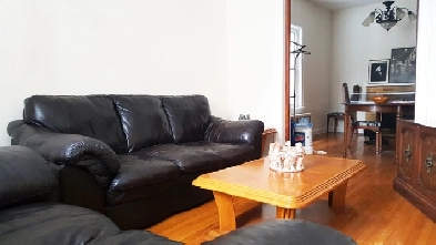 Gorgeous Room in Elegant&Spacious House! Heart of Sandy Hill Image# 2