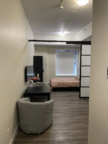 Furnished One-Bedroom/Bachelor for Rent Near Ottawa University Image# 2