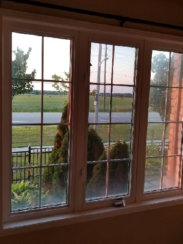 2 Bedroom, 2 bathroom walk out for rent