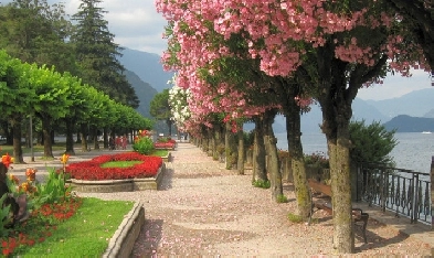 Bright Furnished Room to Rent to Young Female Student/Working