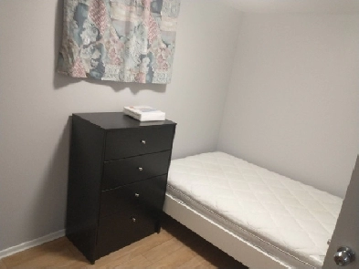 Roommate wanted