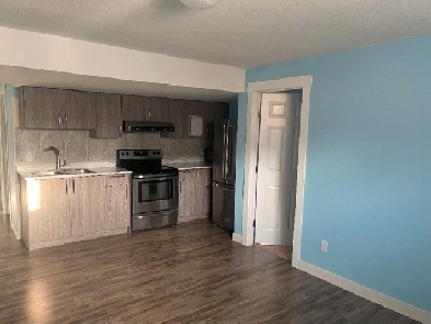 1 Bedroom Basement For Rent NE Calgary