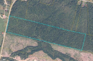 53 Acres Land for Sale with 695 FT Road-Frontage! Image# 1
