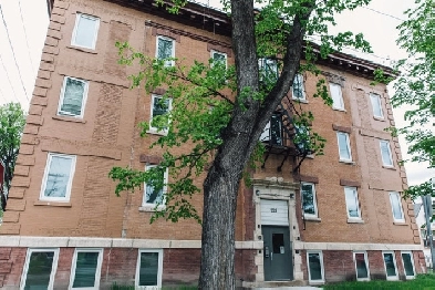 229 Machray Avenue - 2 Bedrooms, 1 Bathroom Apartment for Rent Image# 1