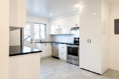 1935 Rue L.-O.-David, Montréal, QC H2E 1K7, Canada Image# 1