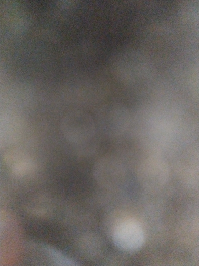 1 spot sharing available opposite Humber college Image# 1