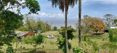 FERME DE 627 ACRES   3 km AU BORD DU LAC, INVESTISSEZ NICARAGUA! Image# 1