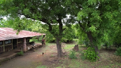 4.3 ACRE FRUIT FARM CLOSE TO PACIFIC OCEAN, INVEST IN NICARAGUA Image# 1