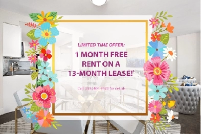 Kingswood II - Junior One bedroom Apartment for Rent