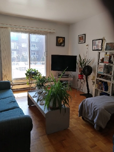 Grand 3 1/2, Montreal Nord