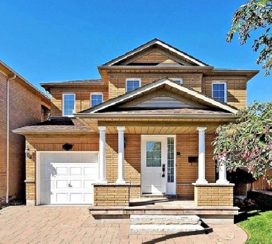 1 bed 1 bath for rent