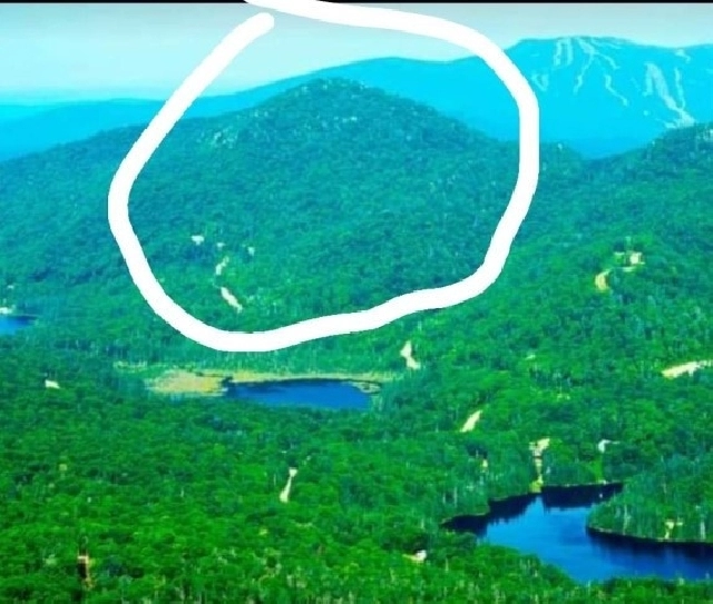 IMMENSE TERRAIN À VENDRE AU SOMMET D'UNE MONTAGNE in City of Montréal,QC - Land for Sale