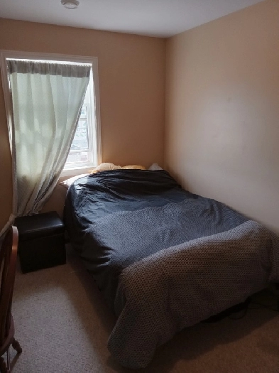 Looking for roommate 2 bedroom apartment Image# 1