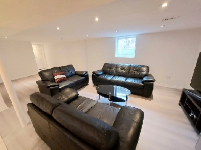 1 bedroom basement for rent in Newmarket