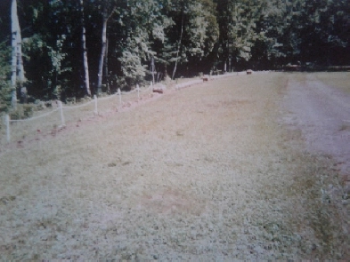 Water front property in CoalCreek located next to chipman Image# 5