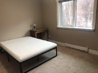 ROOM FOR RENT IN DOWNTOWN WITH PRIVATE WASHROOM Image# 1