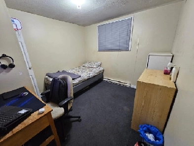 1 Bedroom near UNB for 4 months Image# 1